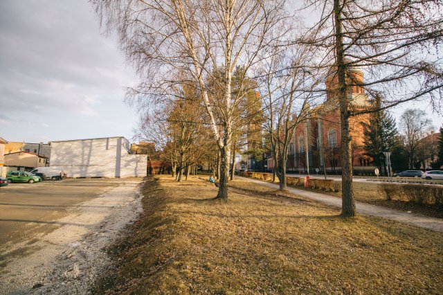 Regionalne centrum remesiel
